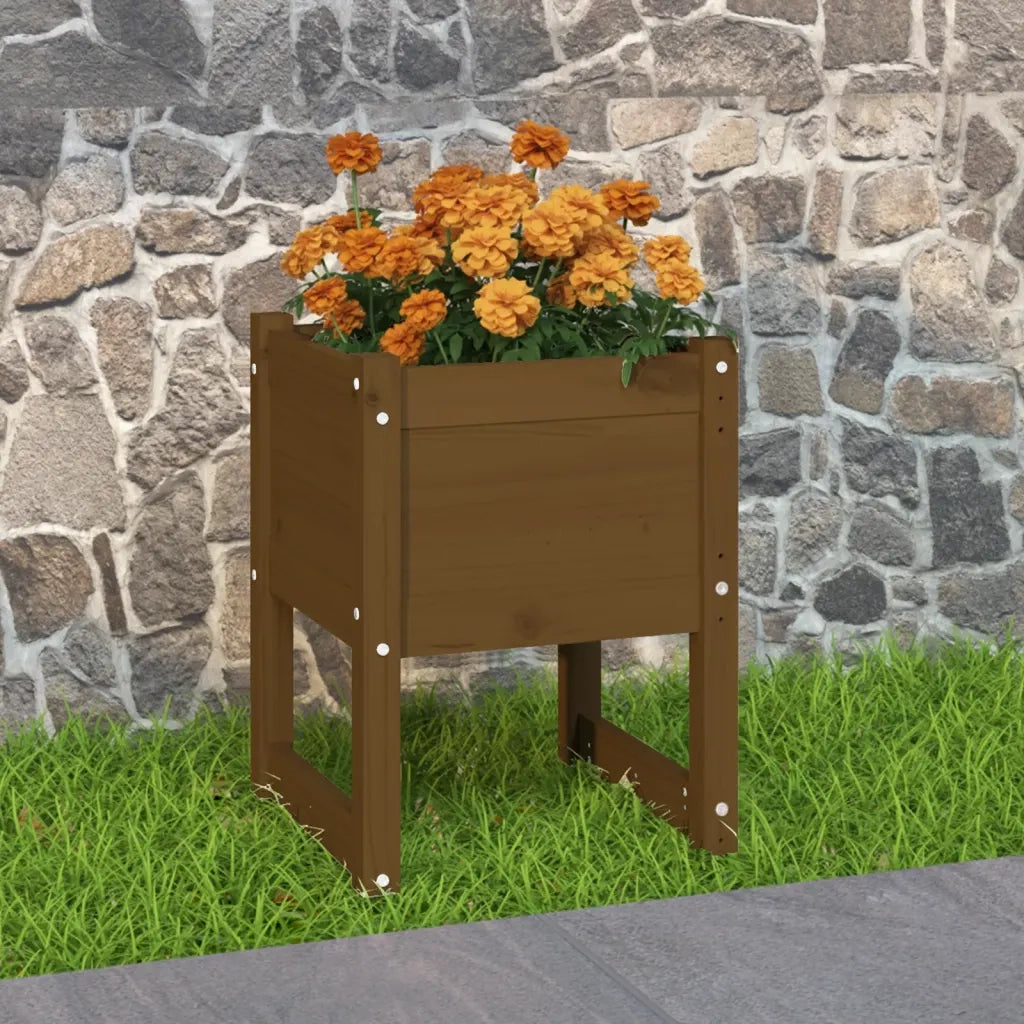 Fioriera | Cassetta per fiori | Vaso Marrone Ambra 40x40x52,5 cm in Legno Massello di Pino