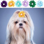 Elastici per capelli resistenti - 30 pezzi - Non tossici - Vari colori - Accessori per cani - Accessori per gatti