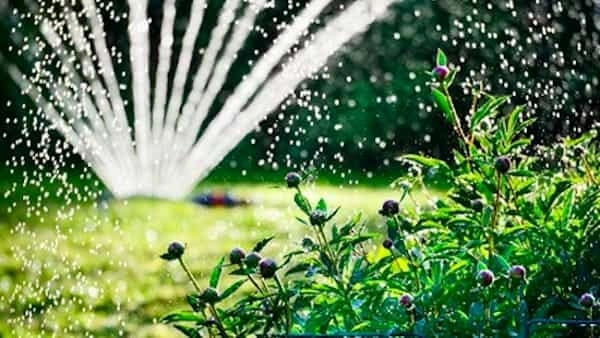 IRRIGATORE SU BASE A COCCINELLA IDEAL STAR - IDEAL STAR