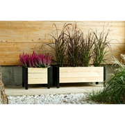 Fioriera Lavanda Cm 58X36X32H Losa