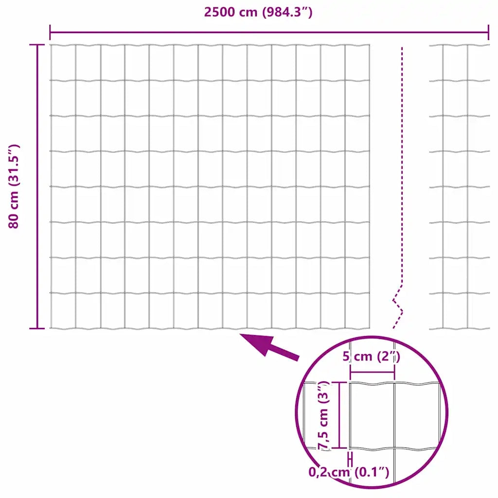Recinzione da Giardino | Recinzione Euro 0,8 x 25 m Ferro rivestito in PVC
