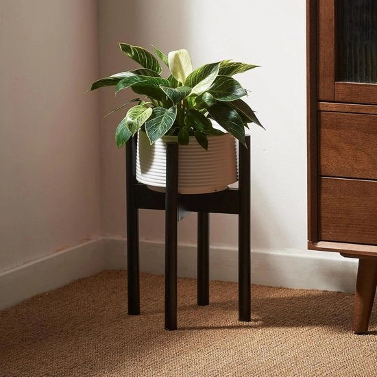 Pianta di Bambù per Interni, Standard in Legno Nero, Adatto per Uso Esterno