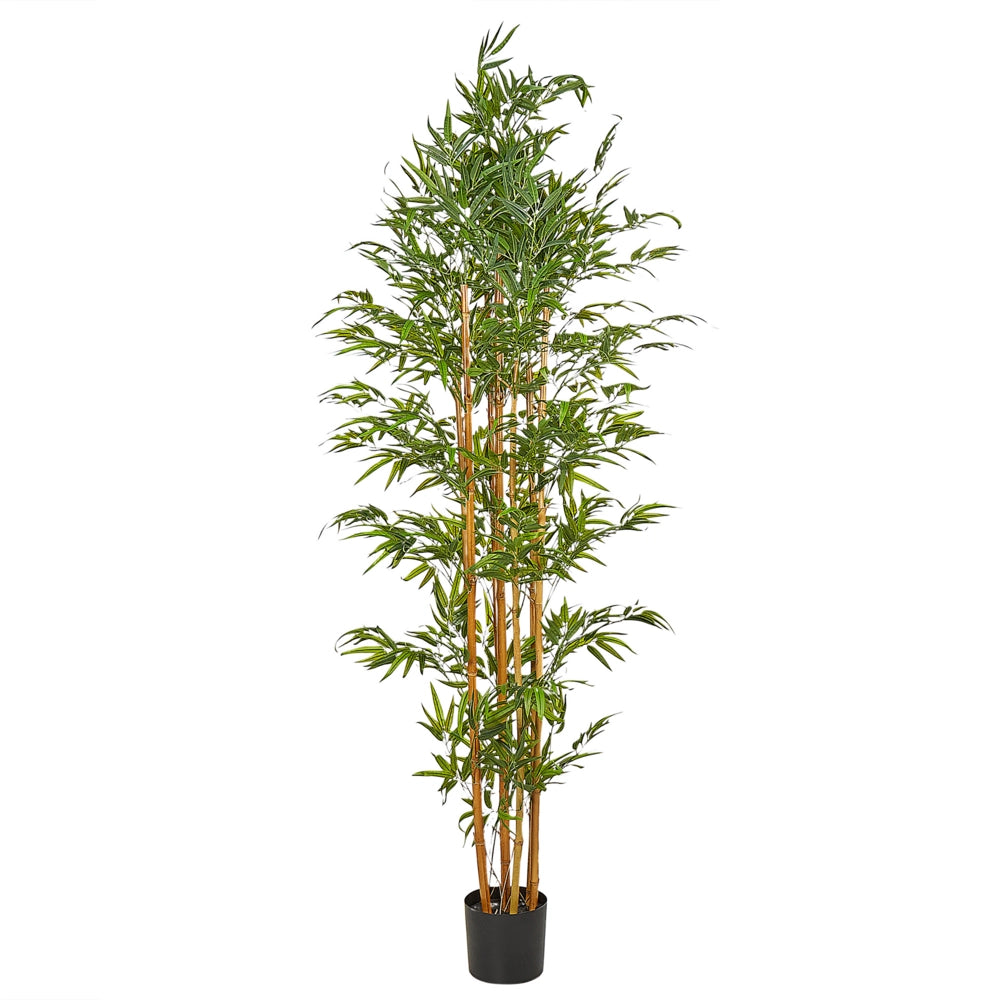 Pianta artificiale con vaso in plastica nero 220 cm pianta artificiale interno ed esterno