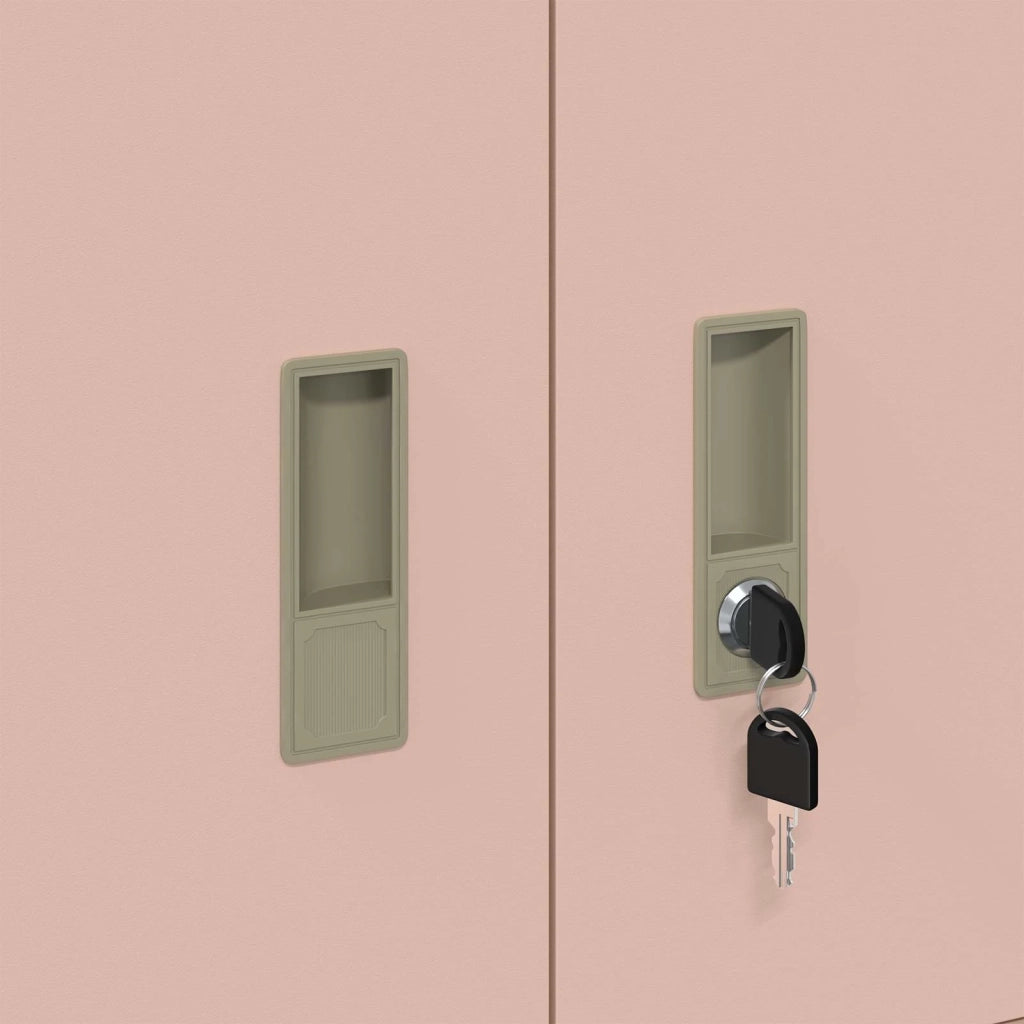Armadio Rosa 60 x 40 x 40 cm Acciaio 891713