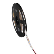 Kanlux Striscia LED 5m 3000K IP65 12V dimmerabile
