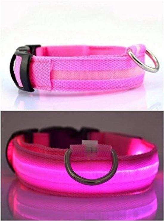 Cinturino di Sicurezza per Cani con LED - Ricaricabile e Idroresistente