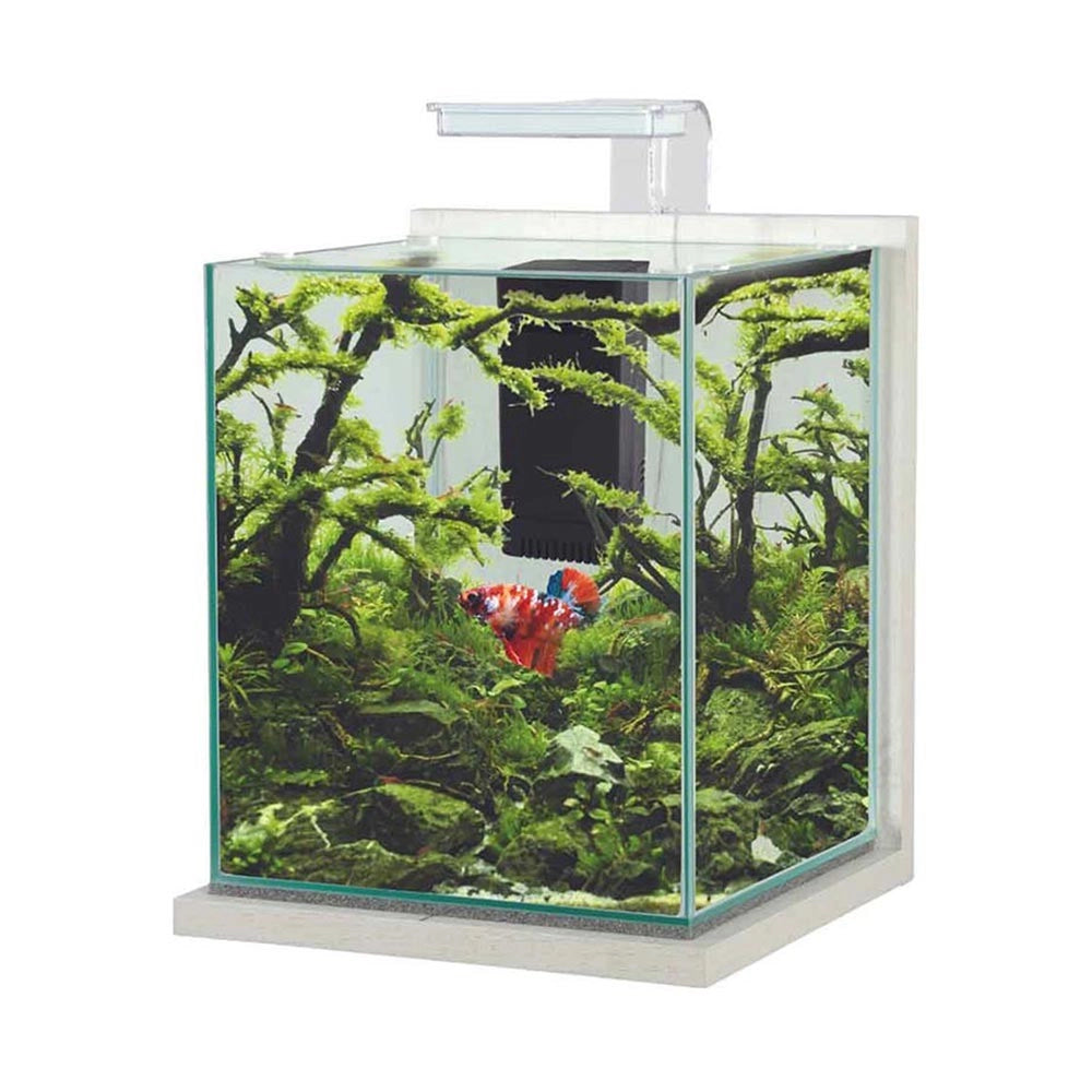 Zolux Jalaya XL 18,7L - acquario cm28,2x27,4x34,8h completo di filtro interno e plafoniera LED Colore: Ceruse Bianco