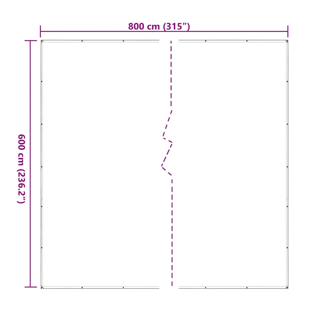 Telone Trasparente con Occhielli 6x8 m in Polietilene 4018530
