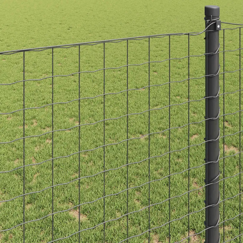 Recinzione Euro Grigio 1 x 25 m Ferro rivestito in PVC 42004517