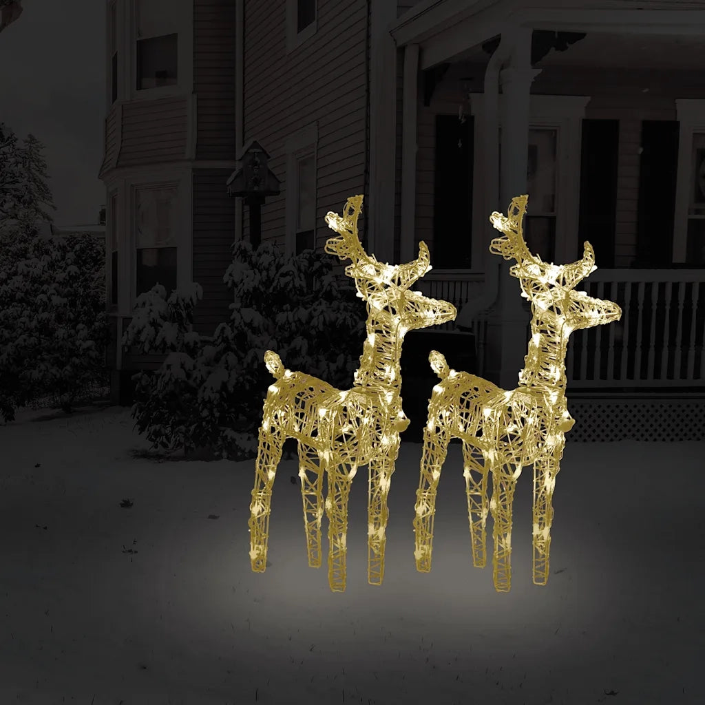 Renne di Natale 2 pz Bianco Caldo 80 LED in Acrilico cod mxl 44160