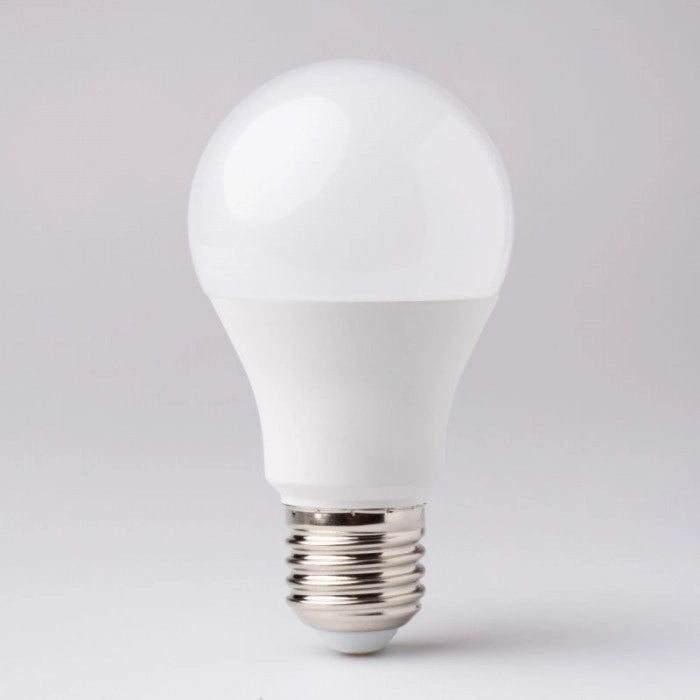 Lampadina LED globo E27 10W 6500K fredda 900lm Ecolight