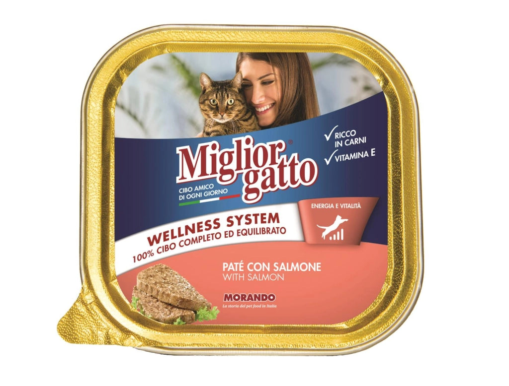 MIGLIOR GATTO PATE' CON SALMONE 100 GR