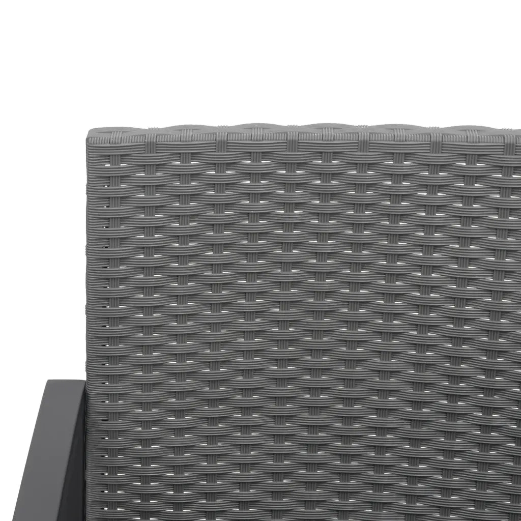 Panca da Giardino a 2 Posti con Cuscini Rattan PP Grigio Scuro 360211