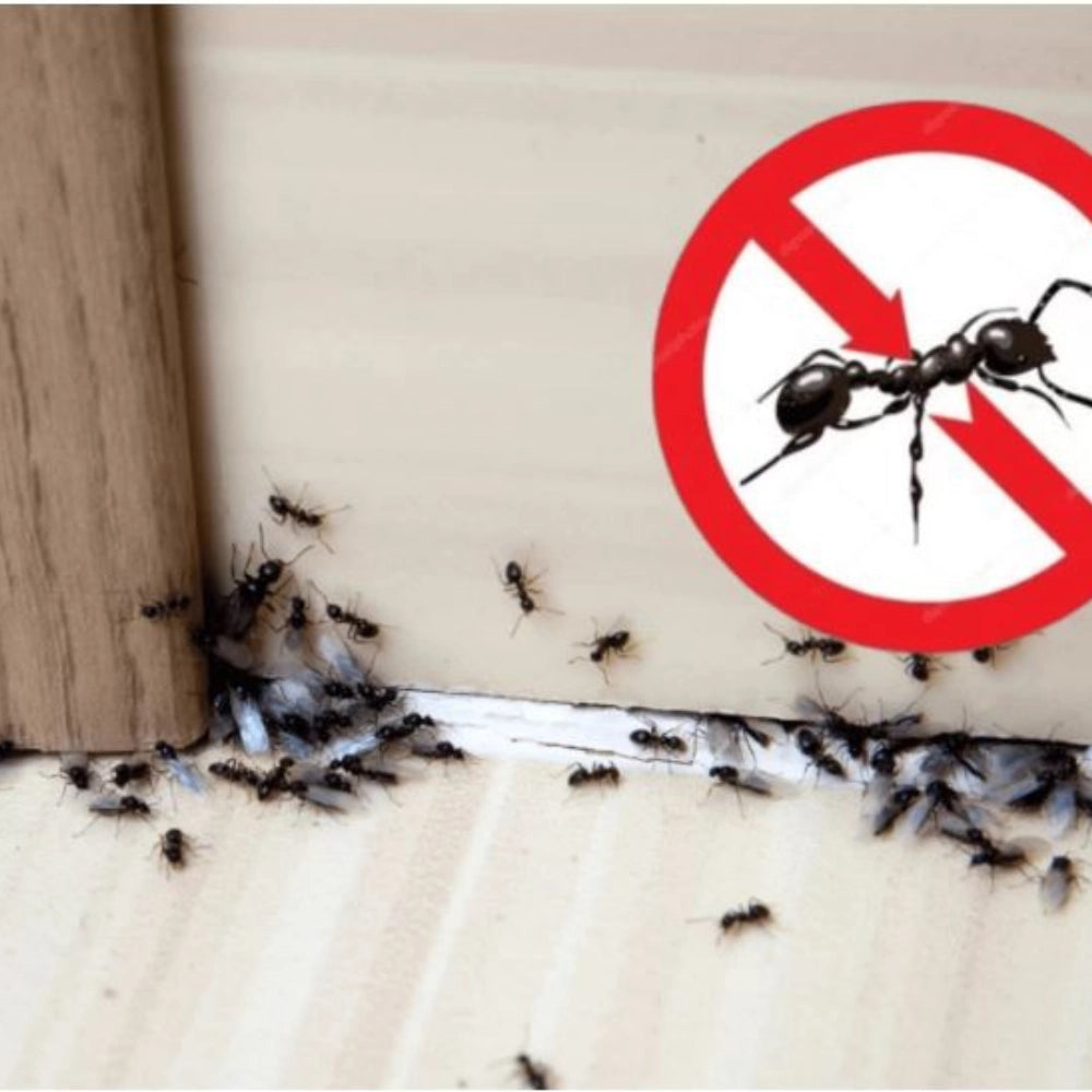 Microgranuli formiche insetti barriera protettiva interni esterni 250 gr ekostop