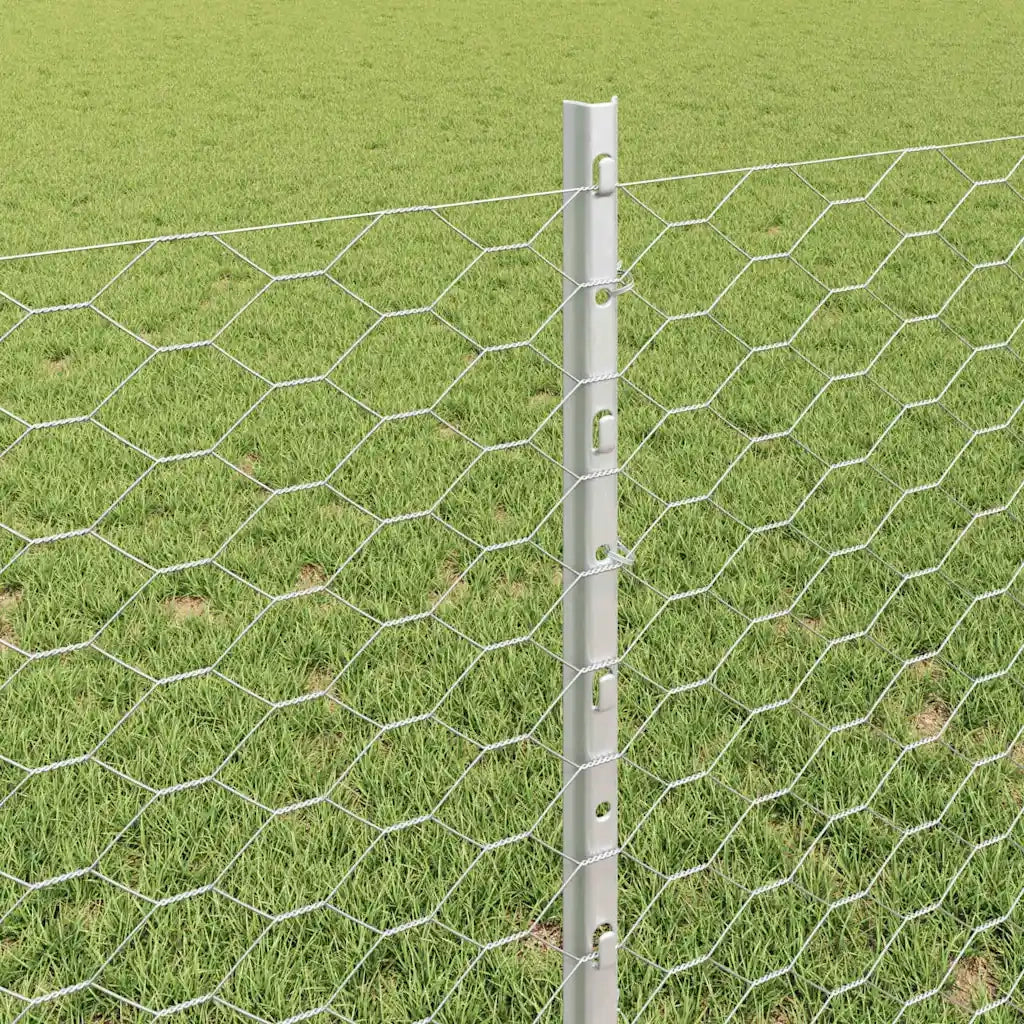 Recinzione da Giardino | Recinzione con Posto Argento