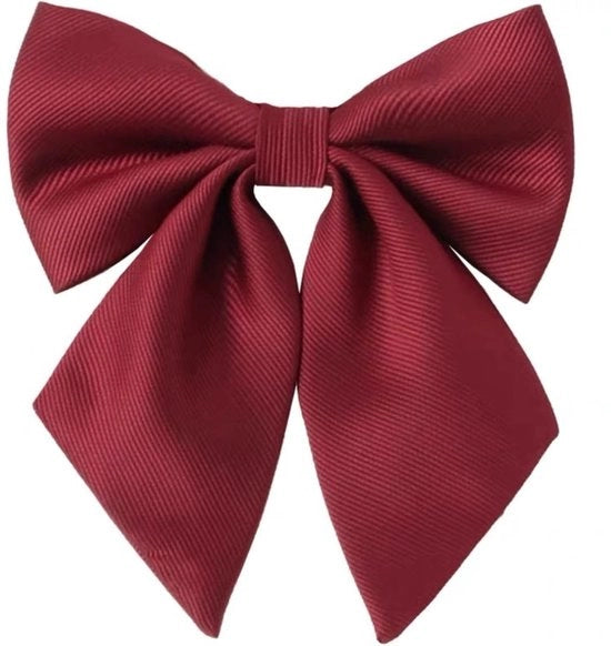 Uniforme per Bambine in Tulle con Cerniera (Rosso)