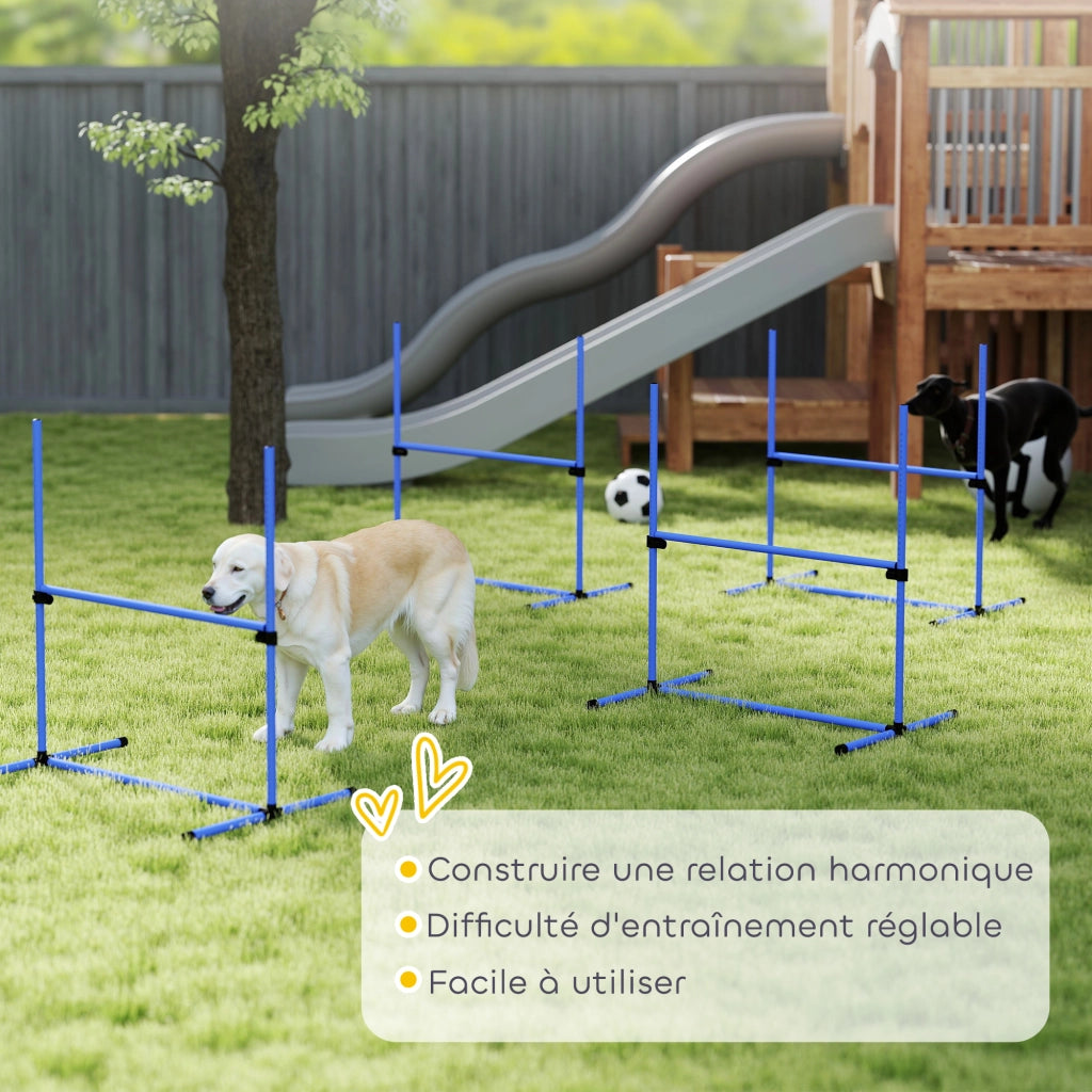 Set Ostacoli Agility per Cani ¨C Xylo ¨C 4 Pezzi Professionale con Borsa