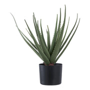Pianta Artificiale Aloe, Verde, Plastica PE, 30,5x30,5x51 cm