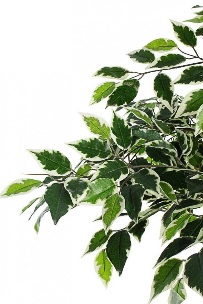 Set 2 Piante Artificiali di Ficus 120 h in Plastica con Vasi Verde