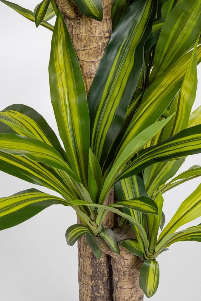 Set 2 Piante Artificiali Dracaena Ø100x130 cm in Plastica con Vasi Verde
