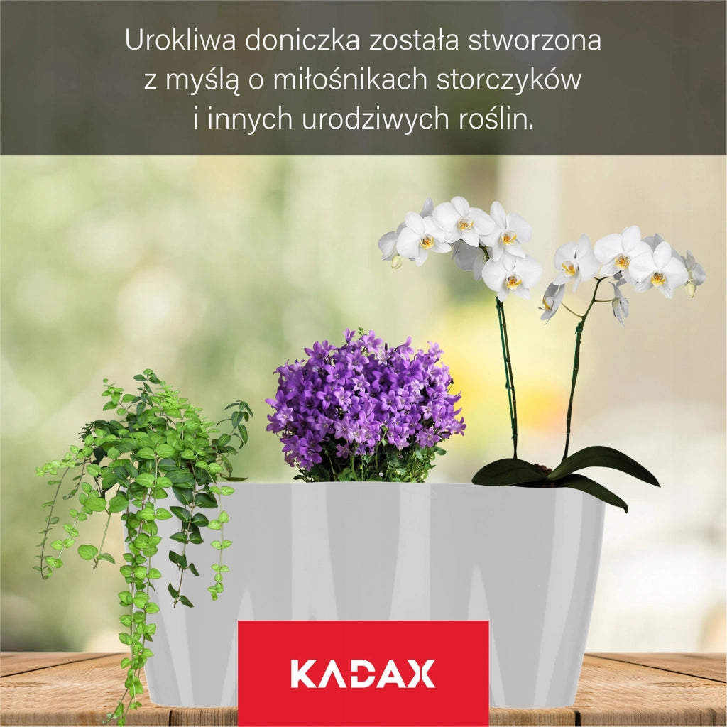 Vaso da fiori KADAX, Vaso da fiori, Vaso da fiori in plastica, Orchidea, 35 cm, Grigio