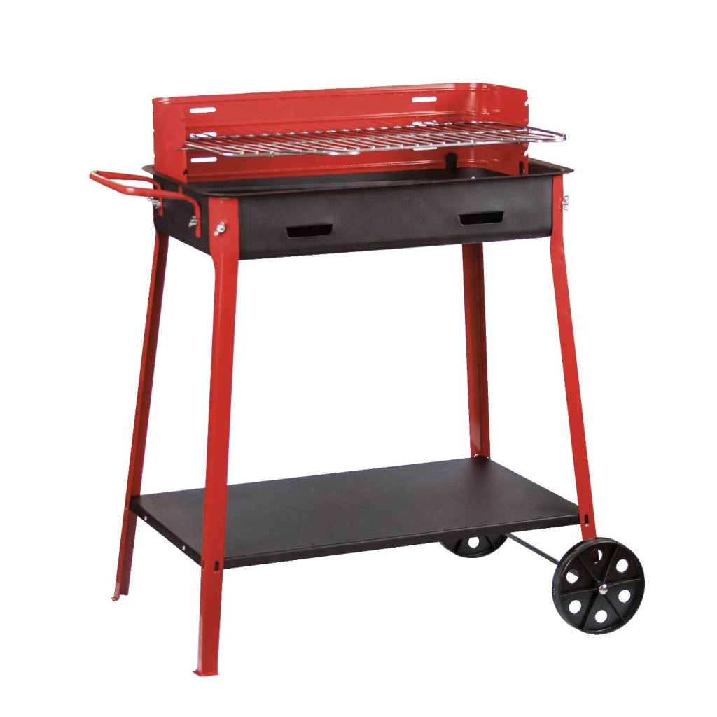 Barbecue Max 40x60 cm