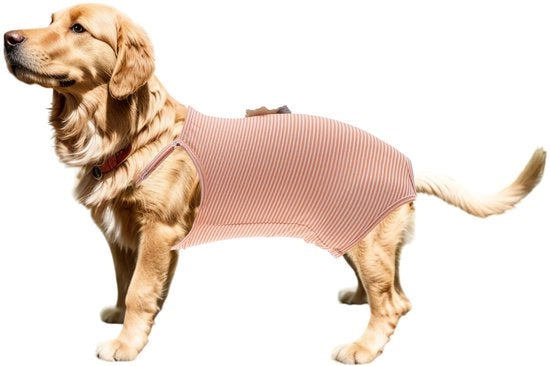 Pannolino per Cani - Lavabile - Pantaloncino per Cani - Comodo e Adattabile - M - Overall Fisiologico - Adatto per Cani Piccoli e Medi.