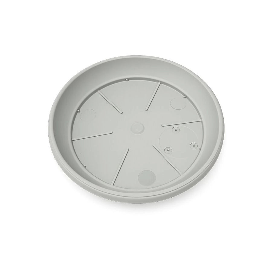 PIATTO SIMILCOTTO SPAZZOLATO D22 NEWGRIGIO