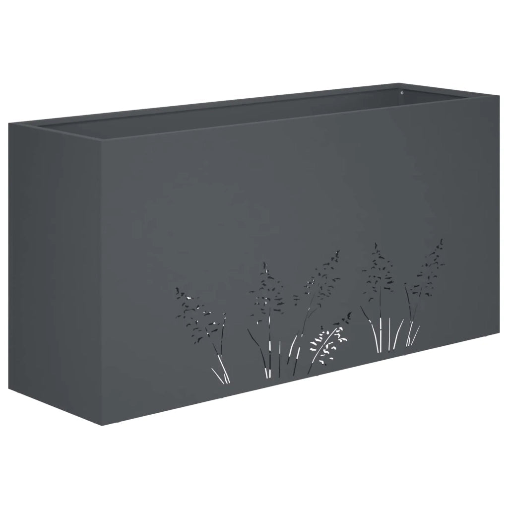 Vaso da giardino 2 pz Antracite 100 x 20 x 49 cm 8005853