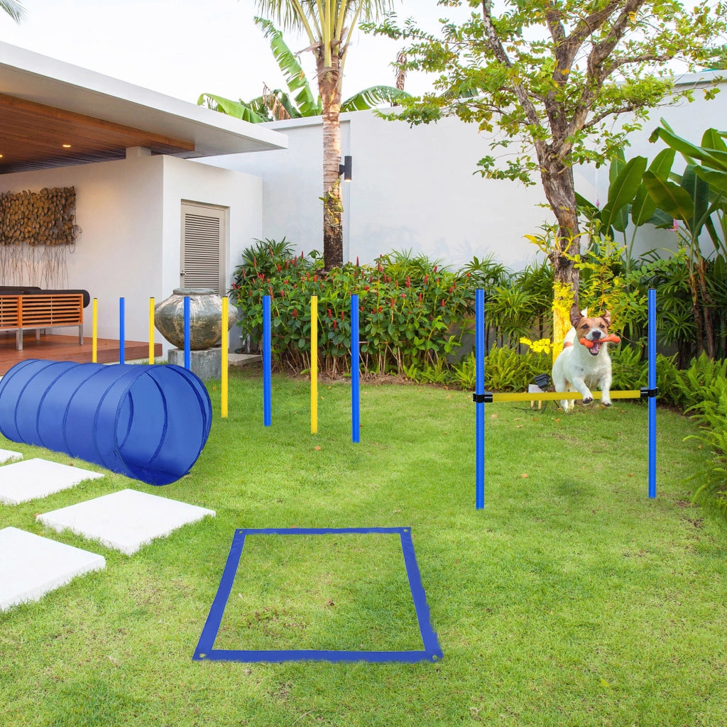 Set Agility per Cani ¨C Minimal ¨C Giallo e Blu