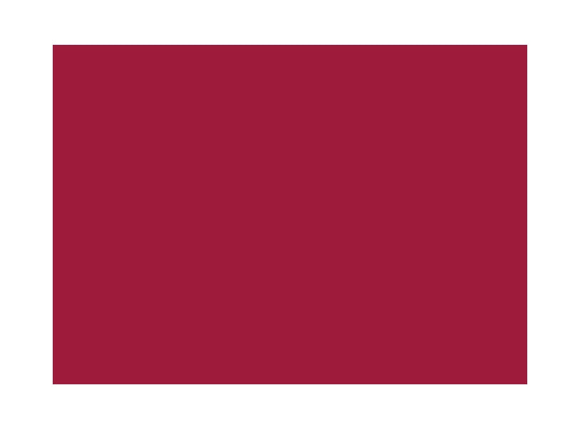 Vernice acril-uretanica all'acqua gradazioni rosso 750ml 2.5lt lucida satinata - 750 ml - lucido - RAL 3027 Rosso lampone