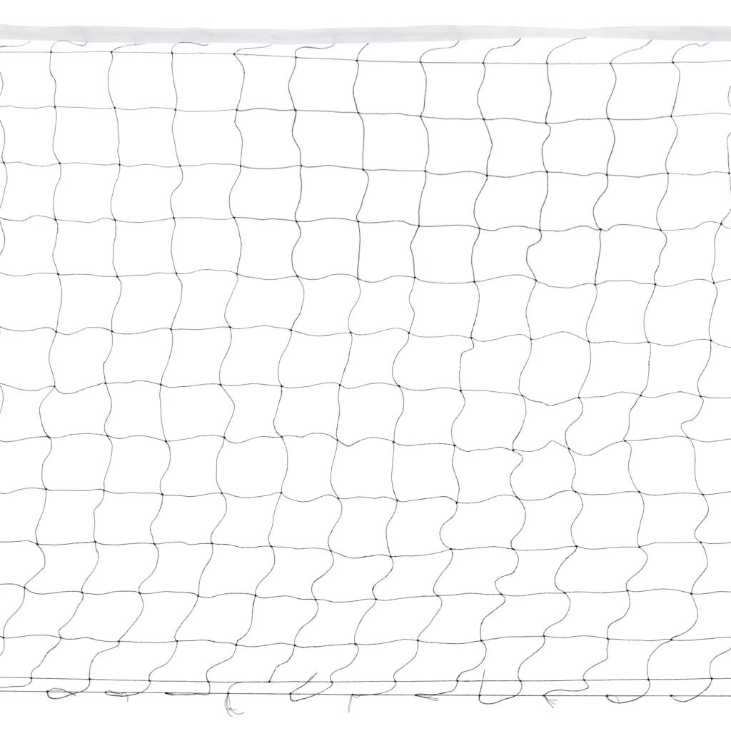 Set da Badminton con 4 Racchette e Rete 620x151 cm