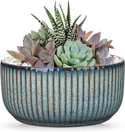 Vaso ceramico bonsai con foro di drenaggio e piedini - Blu, diametro foro 14 cm