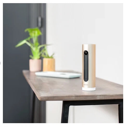 Netatmo welcome pro - videocamera da interno intelligente