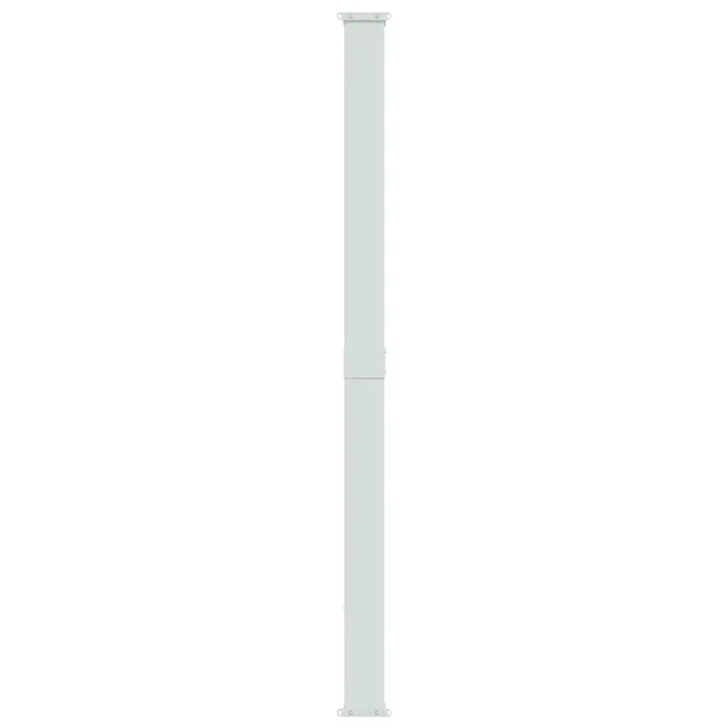 Tenda Laterale Retrattile per Patio 220x314 cm Nera 313423