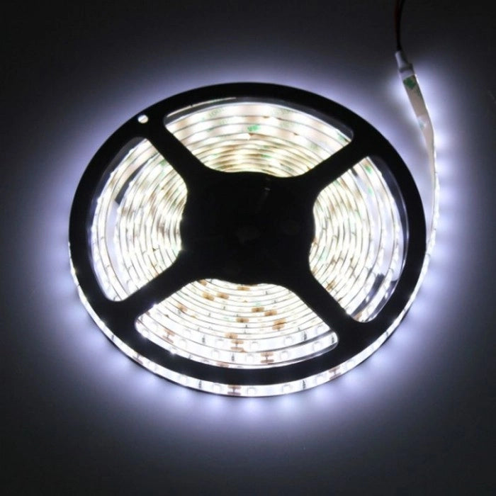 Striscia LED 5m 4,8W/m 6500K 300lm/m 12V IP20 dimmerabile