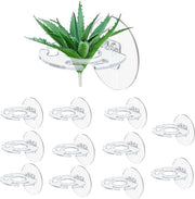12 pezzi di supporto per piante da soffitto per piante tropicali vive 

Specifiche tecniche: 
- 12 pezzi 
- Materiale: [inserire materiale] 
- Dimensioni: [inserire dimensioni]