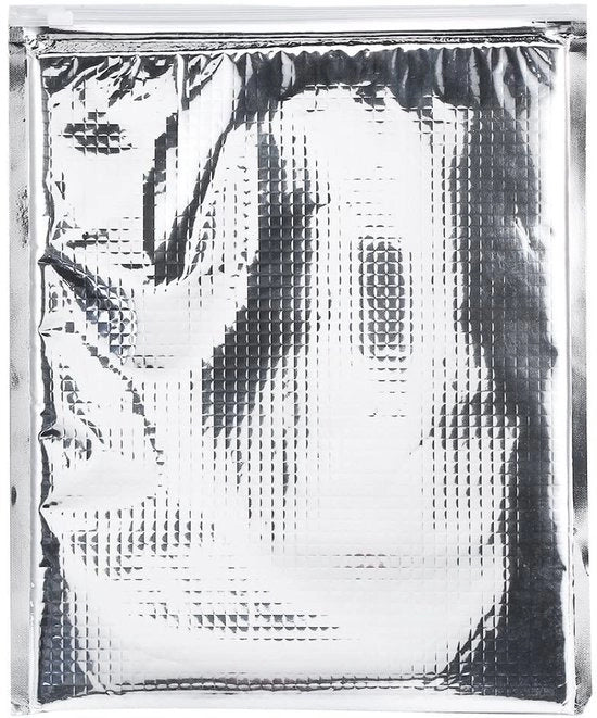 Borsa di Carico per Alimenti Isolante del Freddo - 5 Unità/Imballo - Multifunzionale - Sicura e Resistente - Disegno a Cerniera - Adatta per Picnic - Borsa del Freddo