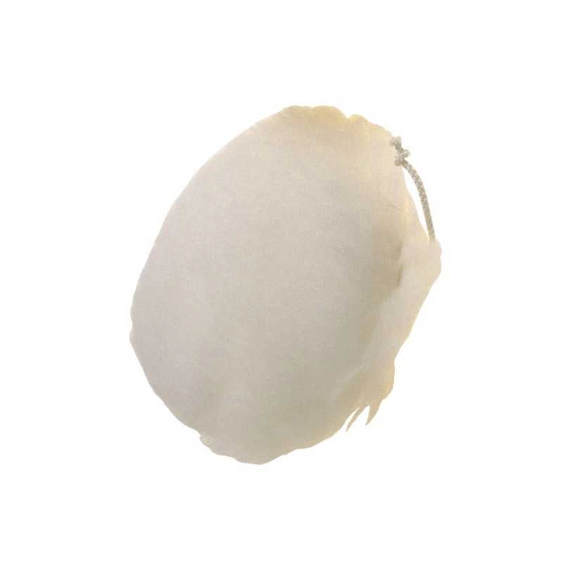 Cuffia Agnello mm 140 339.00 Pg