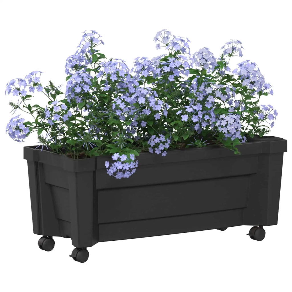 Vaso Calypso con Ruote Antracite 79 x 35 x 33 cm PP