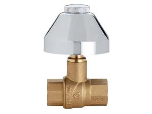 VALVOLA  A SFERA EVOLUTION FF CON CAPPUCCIO  FF 1/2    FIV