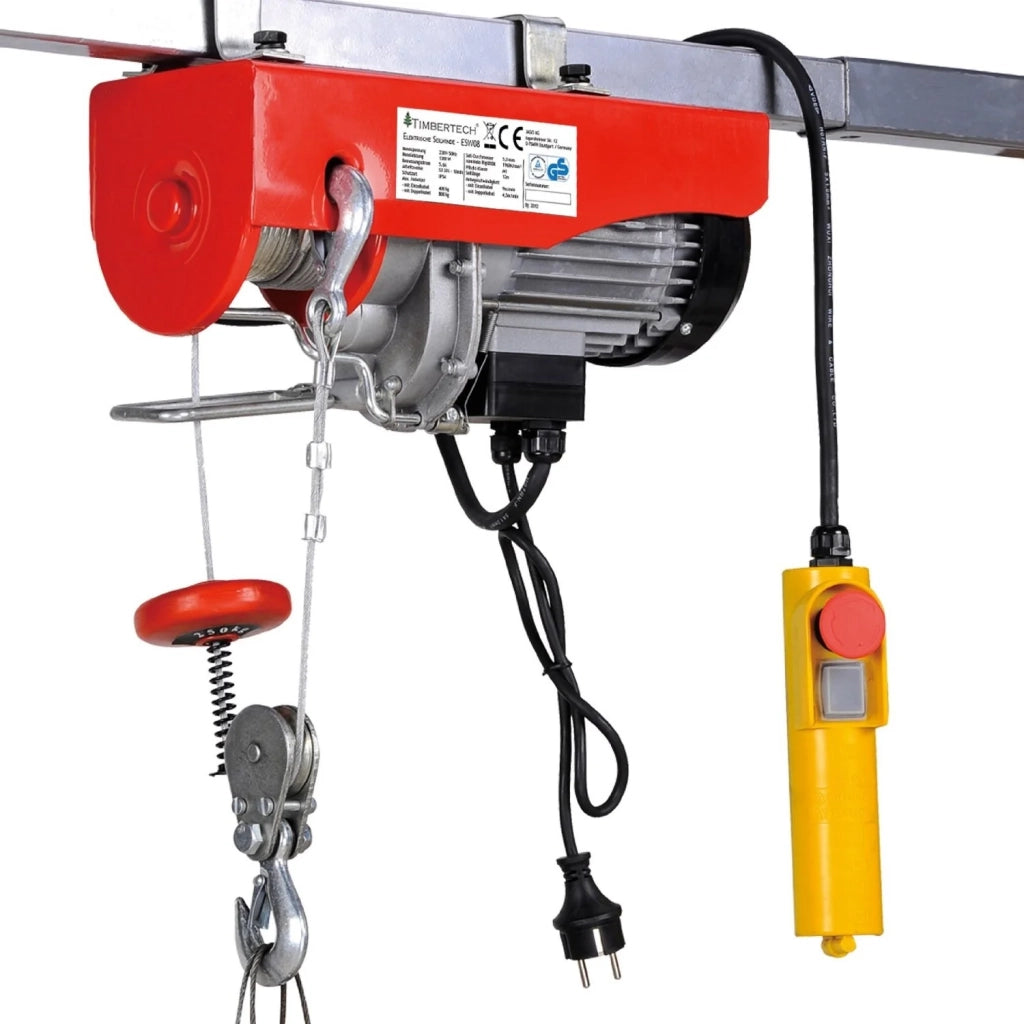 Argano elettrico professionale con telecomando 500W capacità 100/200kg utensili da officina/garage 3402133