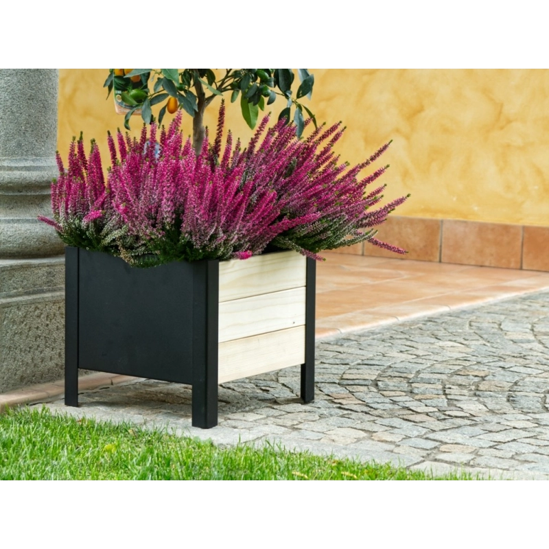 Fioriera Lavanda Cm 36X36X32H Losa