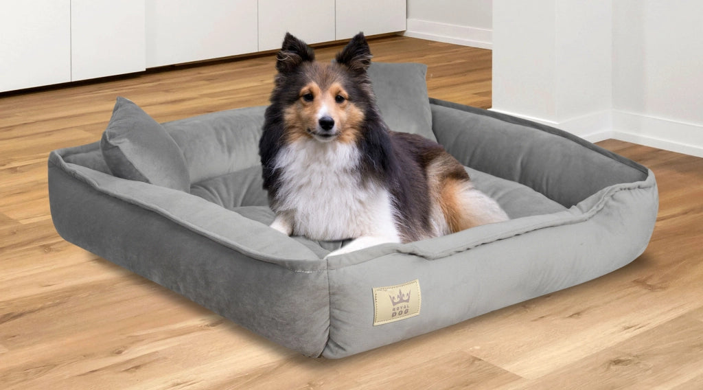 AIO FACTORY Cuccia per cani 75x65 cm in velluto grigio con cuscino impermeabile