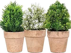 Piantine Artificiali Set 3 Pz In Scatola Trasparente Di Acetato King Home 