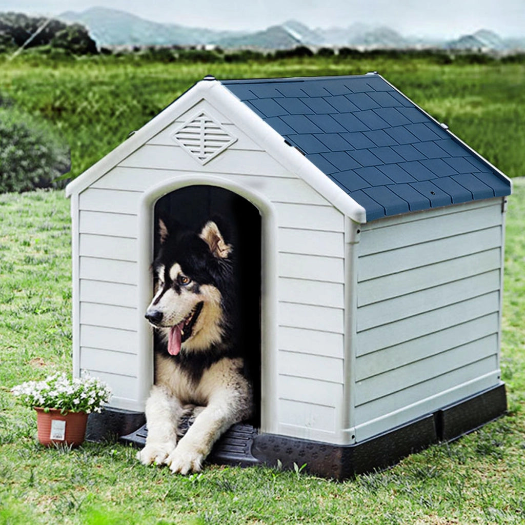 Casetta impermeabile e ventilata per cani, Cuccia con valvole d¡¯aria e pavimento rialzato