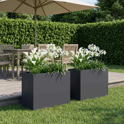 Vaso da giardino 2 pz Antracite 60 x 30 x 50 cm 8005573