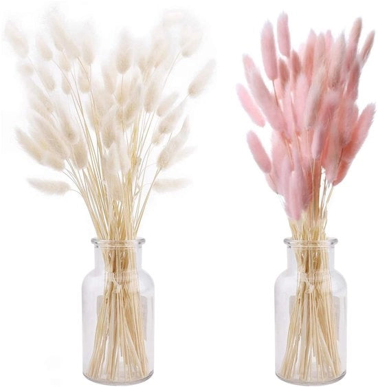 Boeket di Pampas 50 pezzi - Fiori secchi - Rinnovabile - Rosso/ Bianco - Decorazione per Matrimonio - Materiale eco-friendly