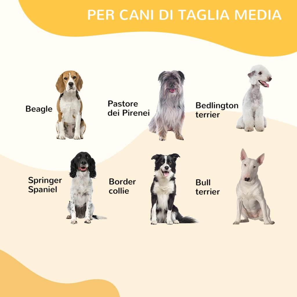 Recinto per Cani Modulabile ¨C zephmum ¨C Grigio 80x150x100 cm