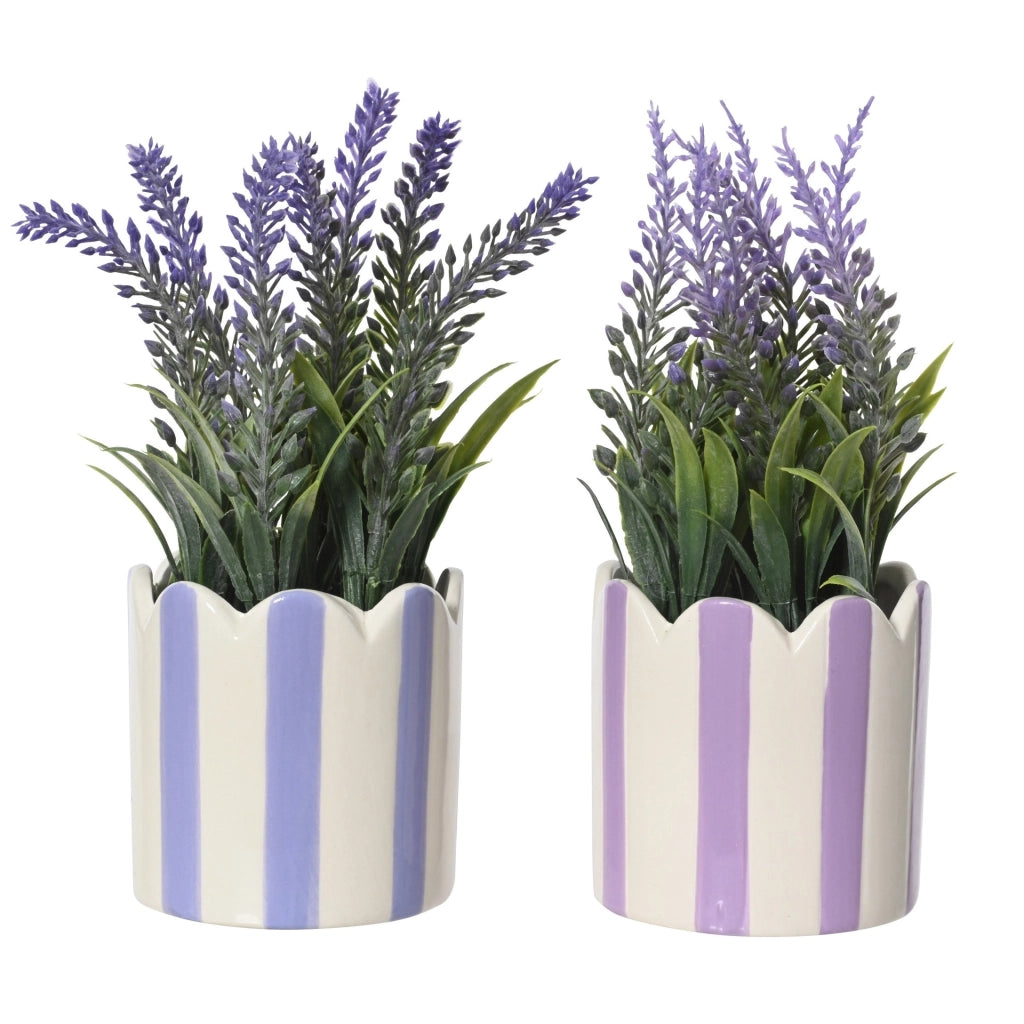 LAVANDA D.7XH18CM CON VASO IN PORCELLANA A RIGHE